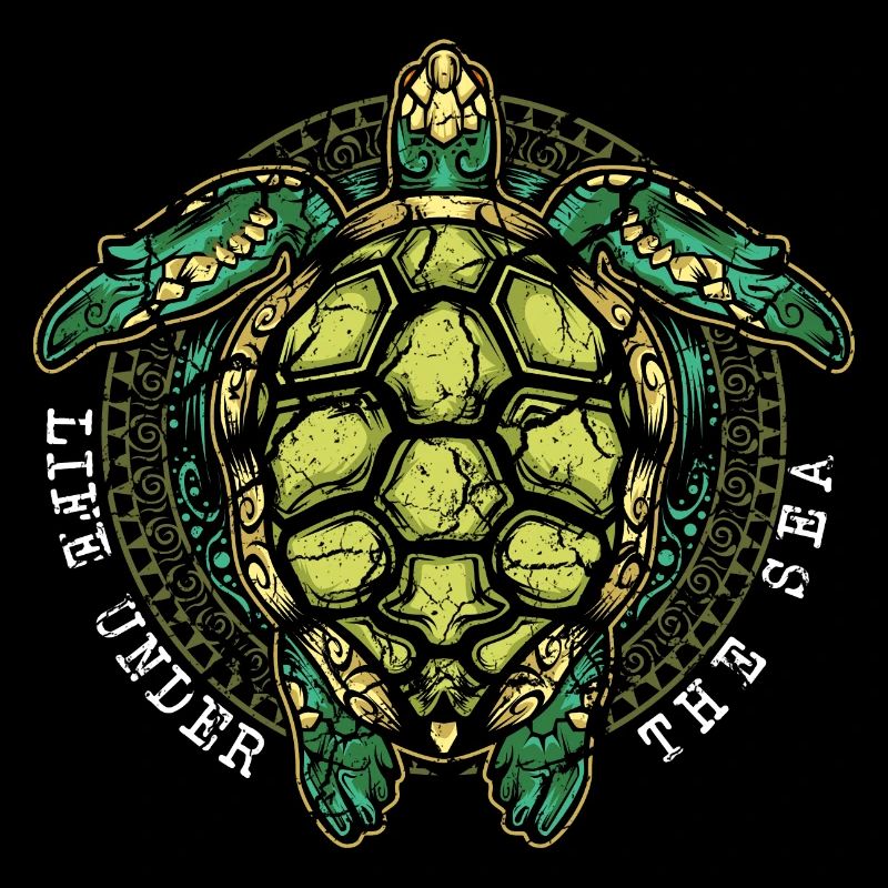 Turtle turtles