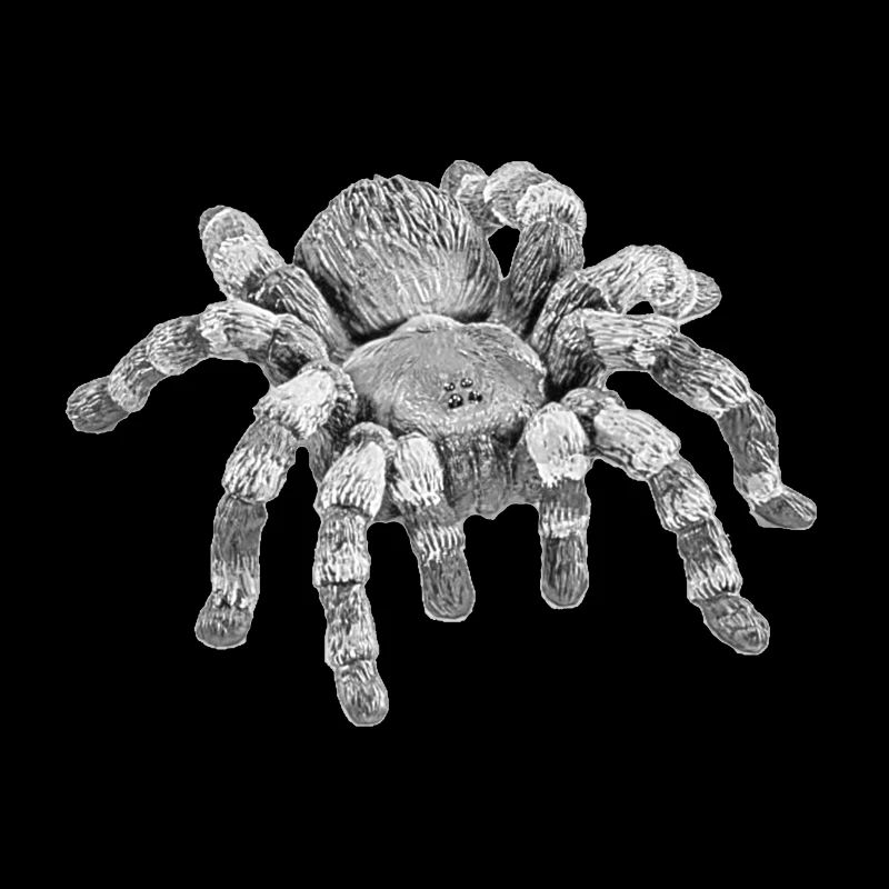 Vogelspinne