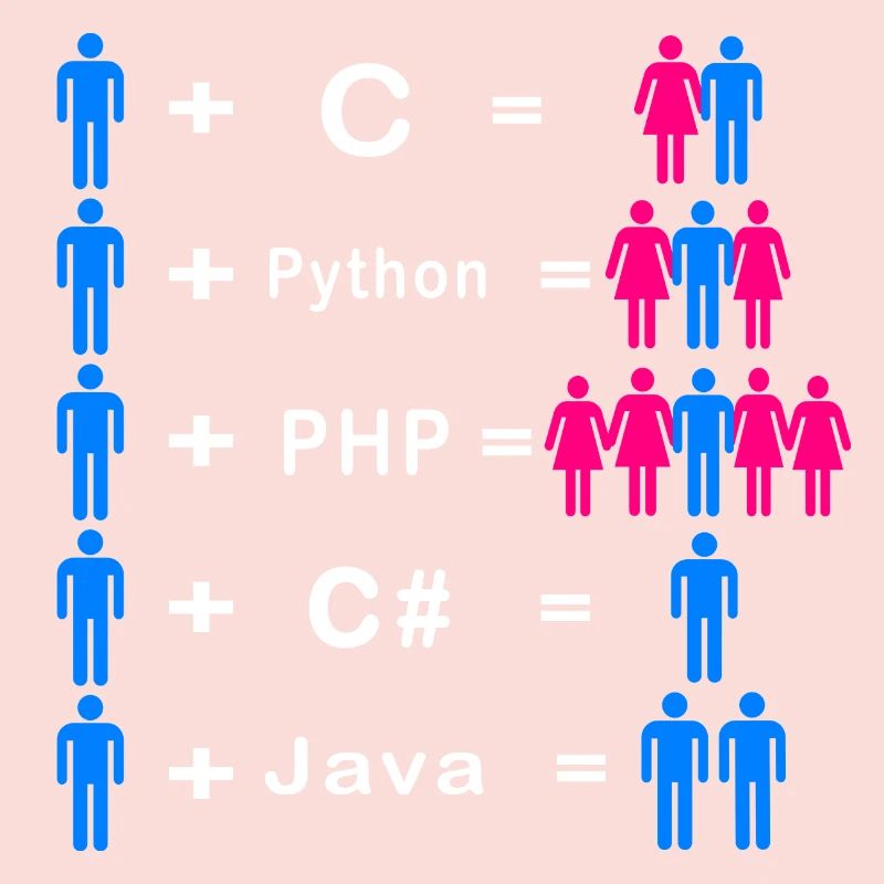 Programmeur