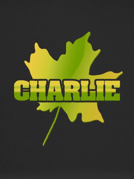 Gift for Charlie