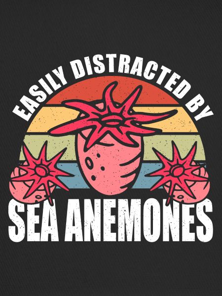 Sea Anemones Gift