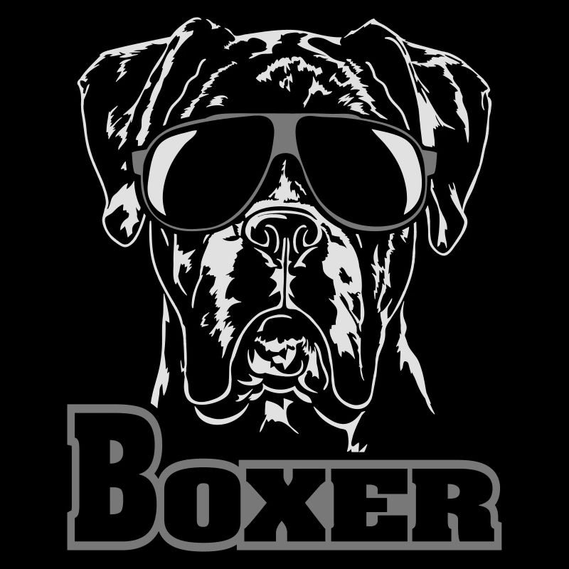 BOXER cool