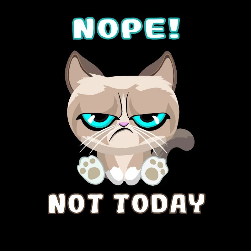 , Chat teckel, Nope, Not Today
