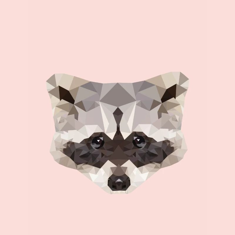 Waschbär Polygon