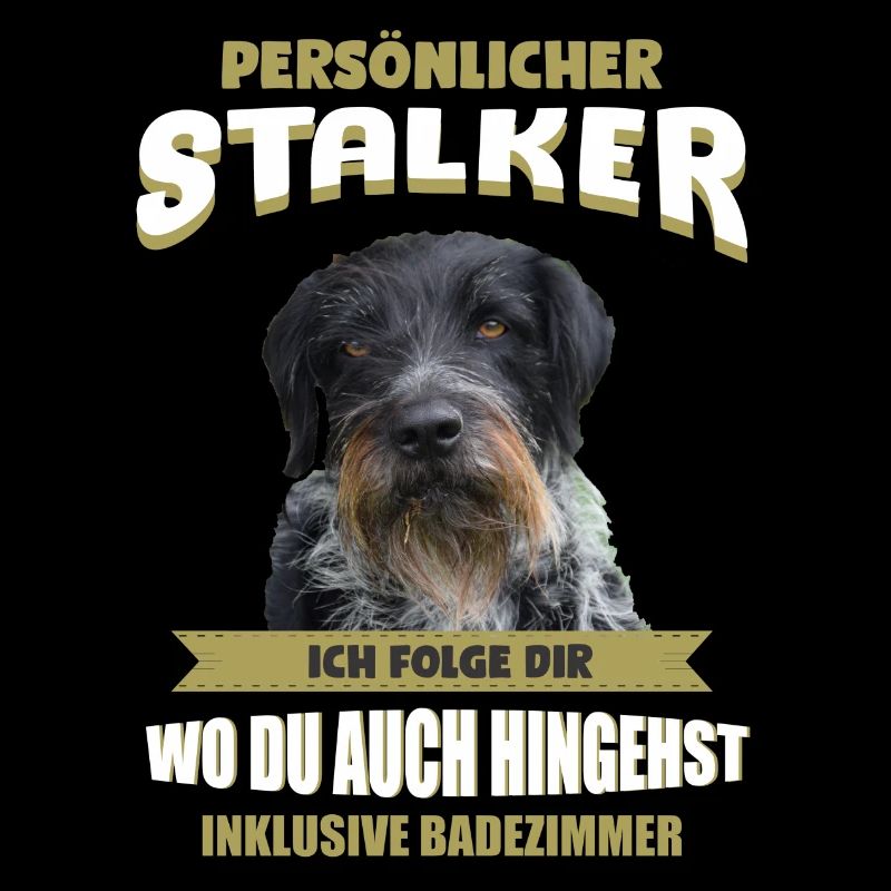 Deutsch Drahthaar Hund - Deutsch Drahthaar