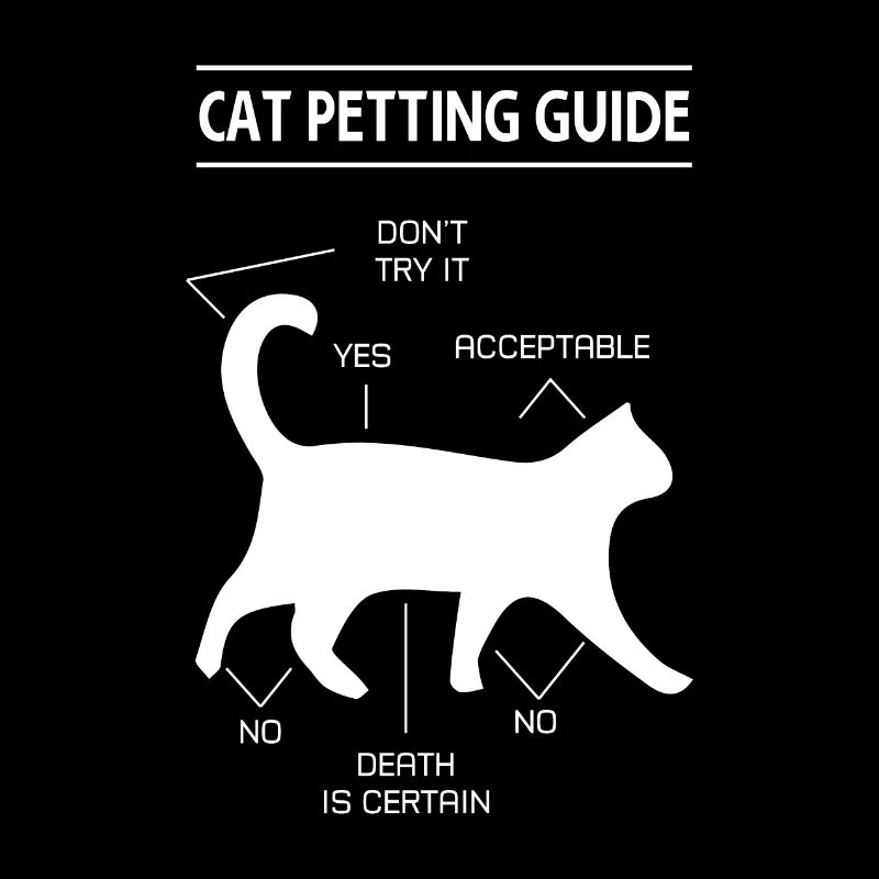 chat chat caresser guide