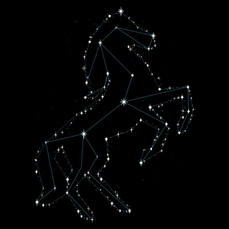 Pferd