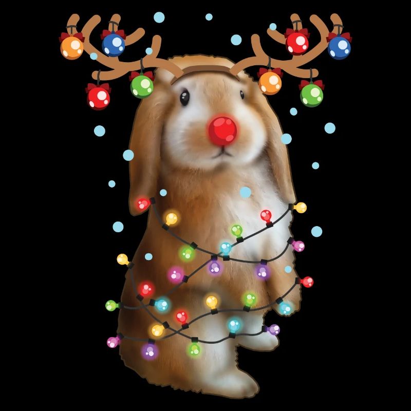 Lapin de Noël - Drôle de lapin de Noël mignon