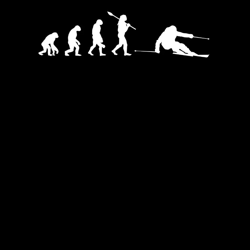 Ski Evolution design unique
