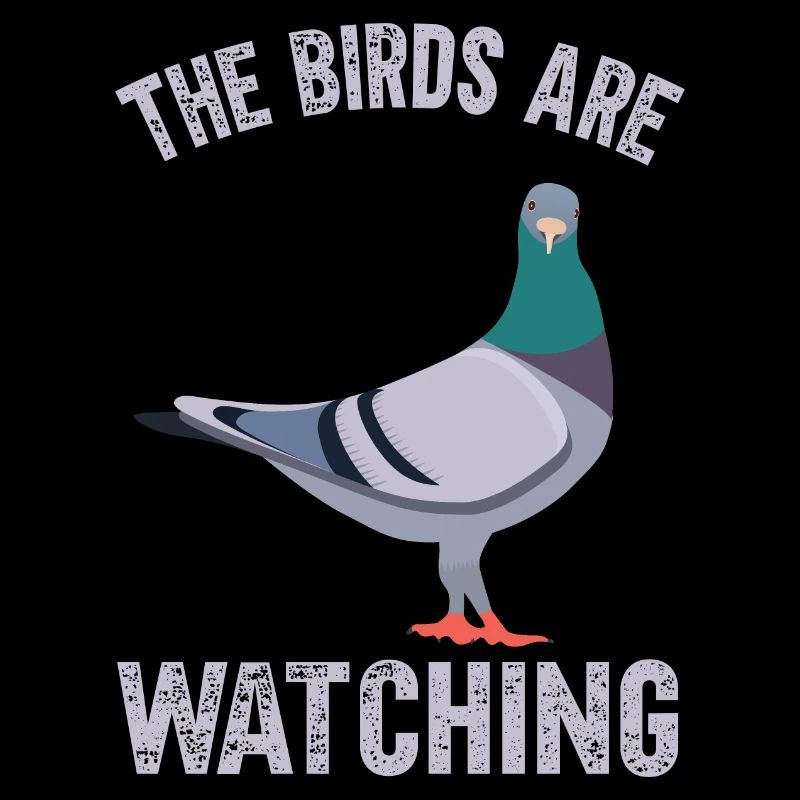 Les oiseaux observent