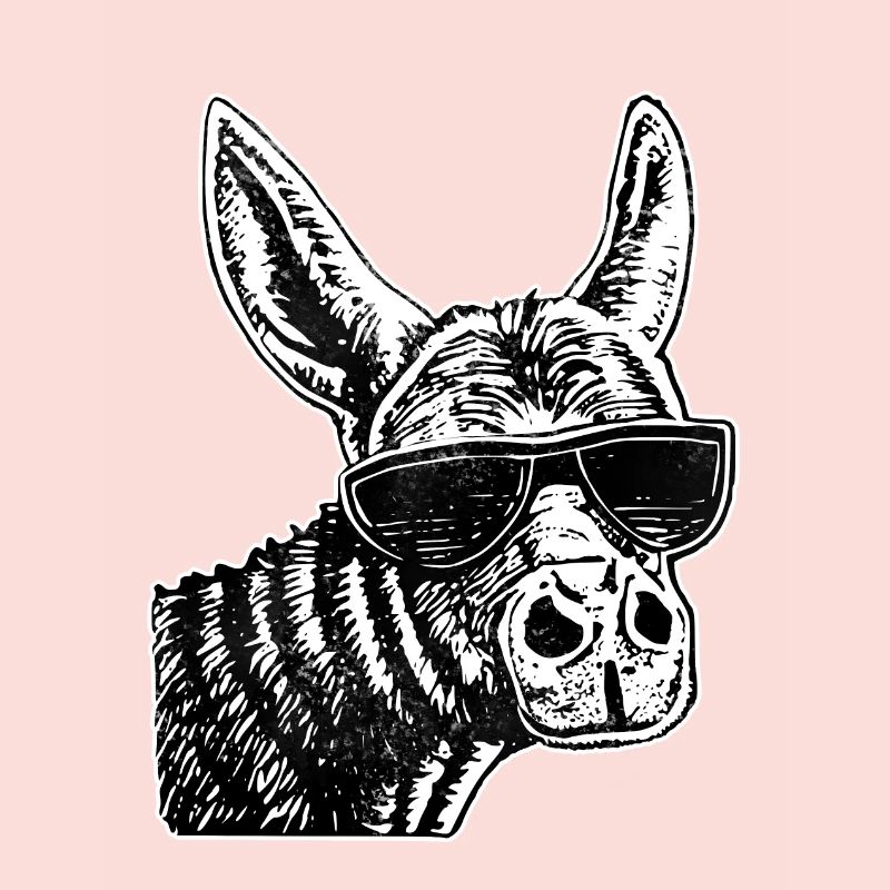 Donkey