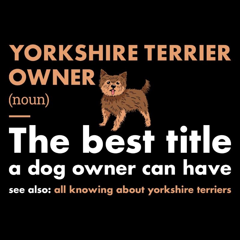 Yorkshire Terrier Définition du propriétaire