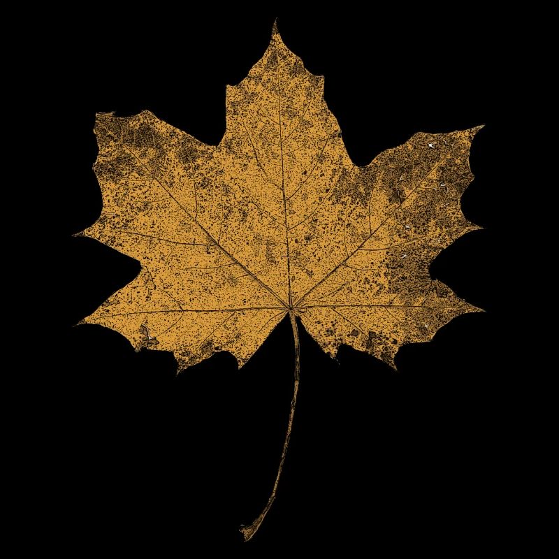 Der Herbst ist da