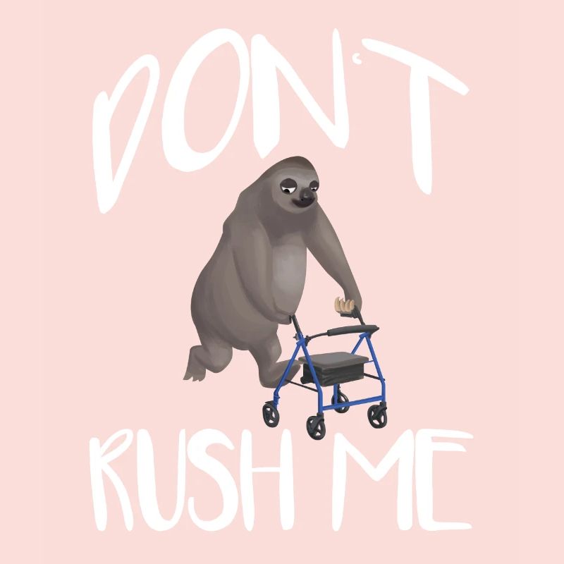 Sloth rollator sloth fur pensioner gift