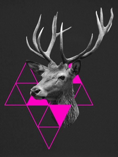 Hirsch Design Geschenke