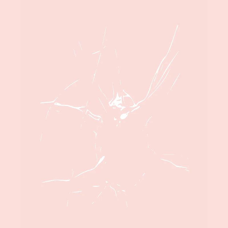 Abstract Design - Line / White / Pattern
