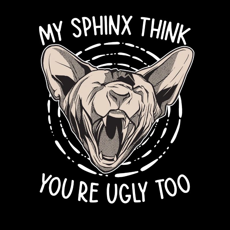 Mon Sphinx pense que toi aussi tu es moche Sphynx