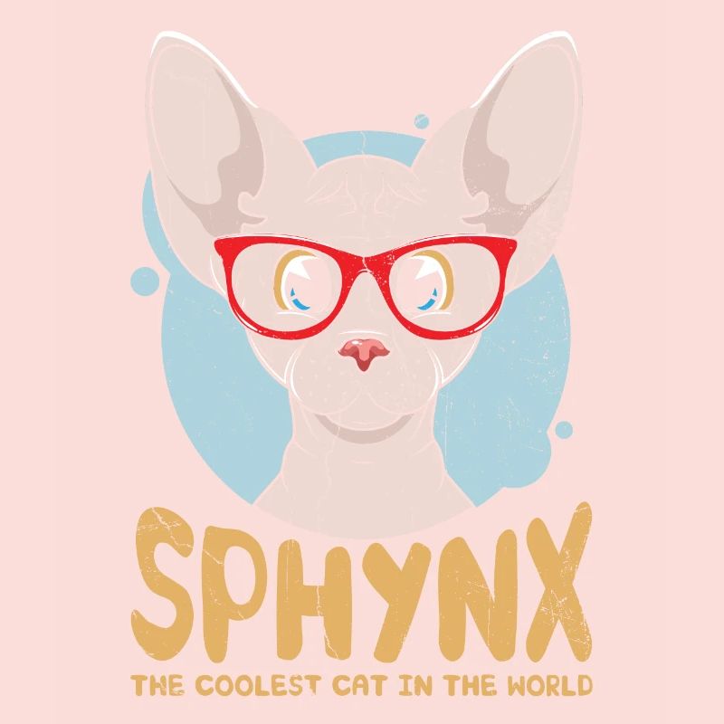 Sphynx Le chat le plus cool du monde pour Sphynx Cat
