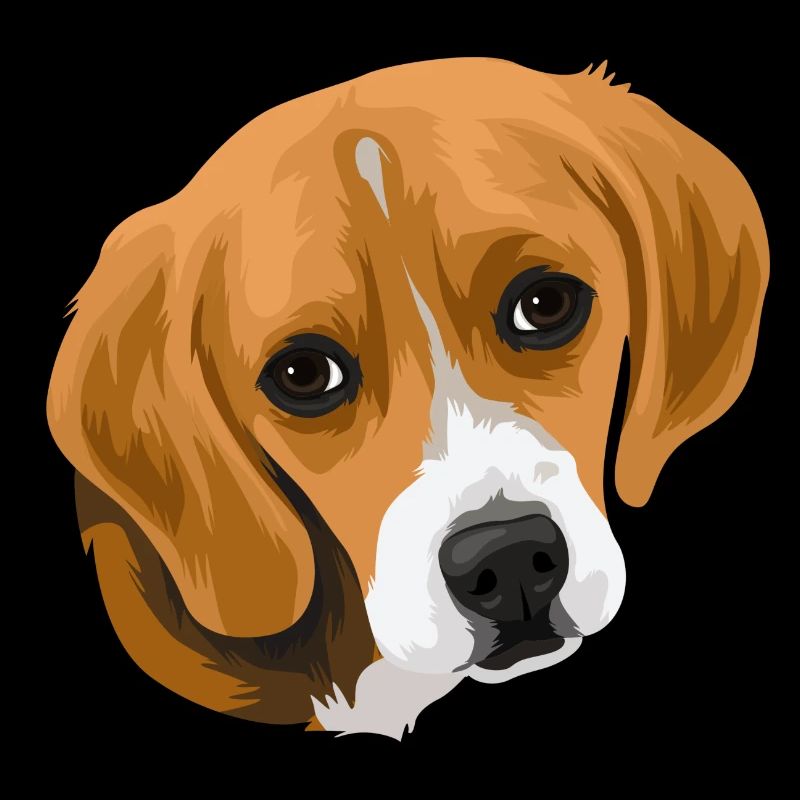Beagle head_2