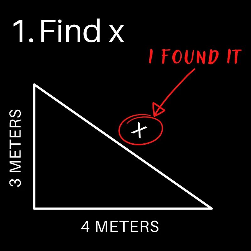 Find X I Found It Funny Math Pun Funny Find X