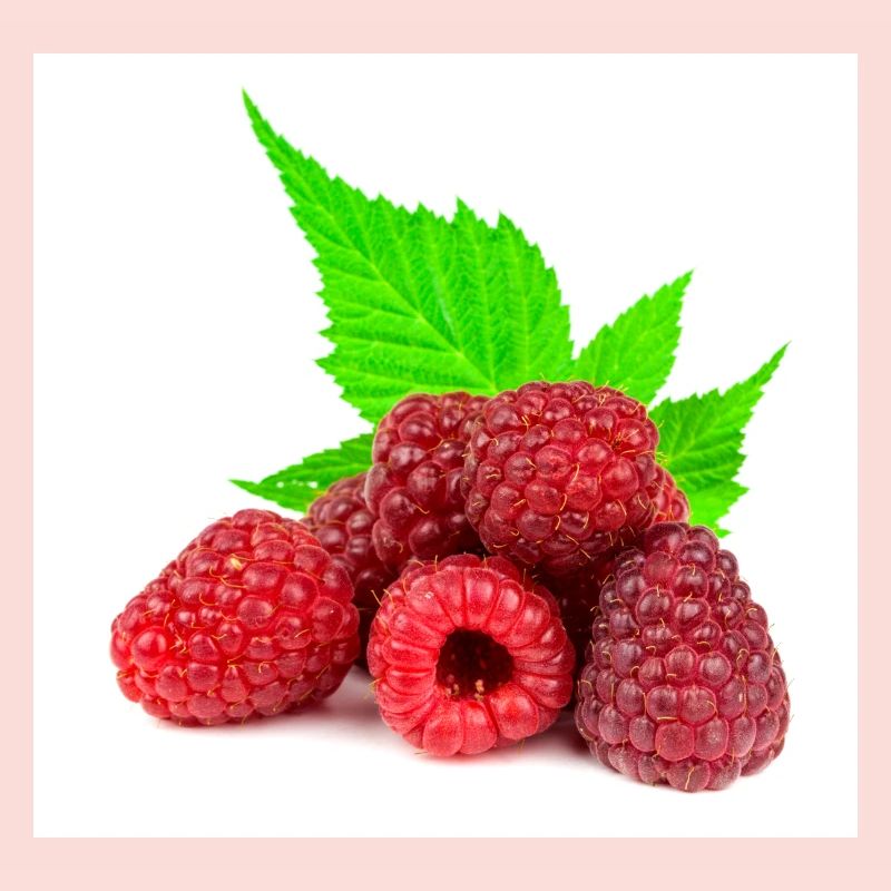 Himbeere. raspberry