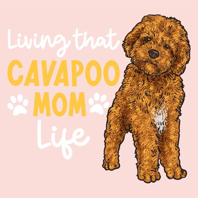 Cavapoo Cavoodle Capoodle Chien