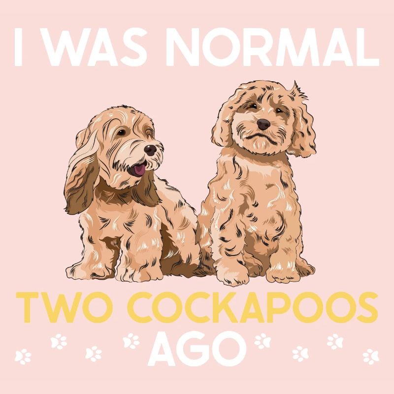 Cockapoo Chien