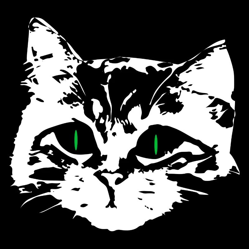 Chat amoureux visage