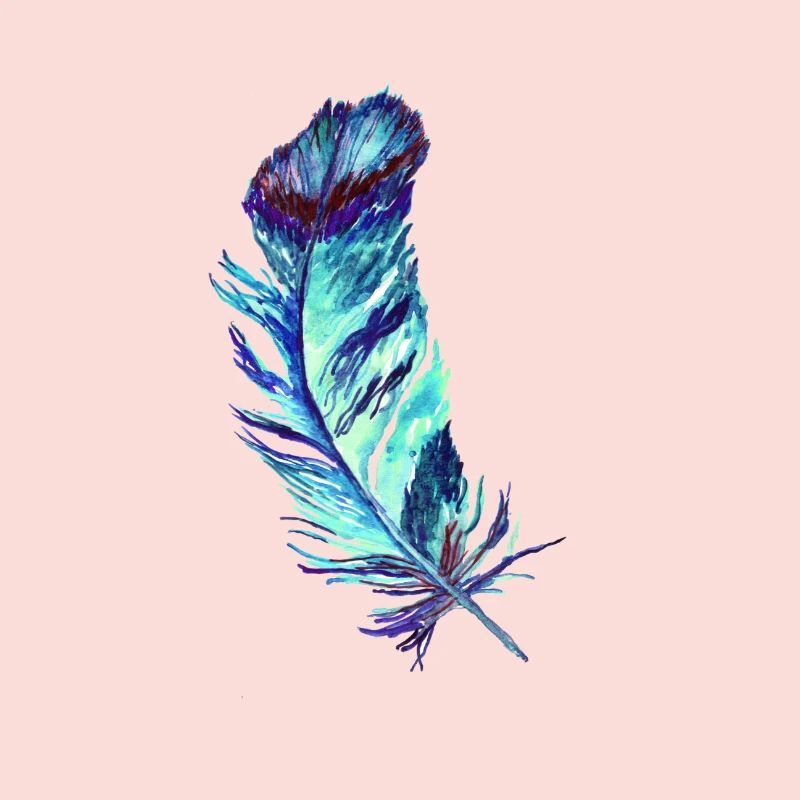 feathers