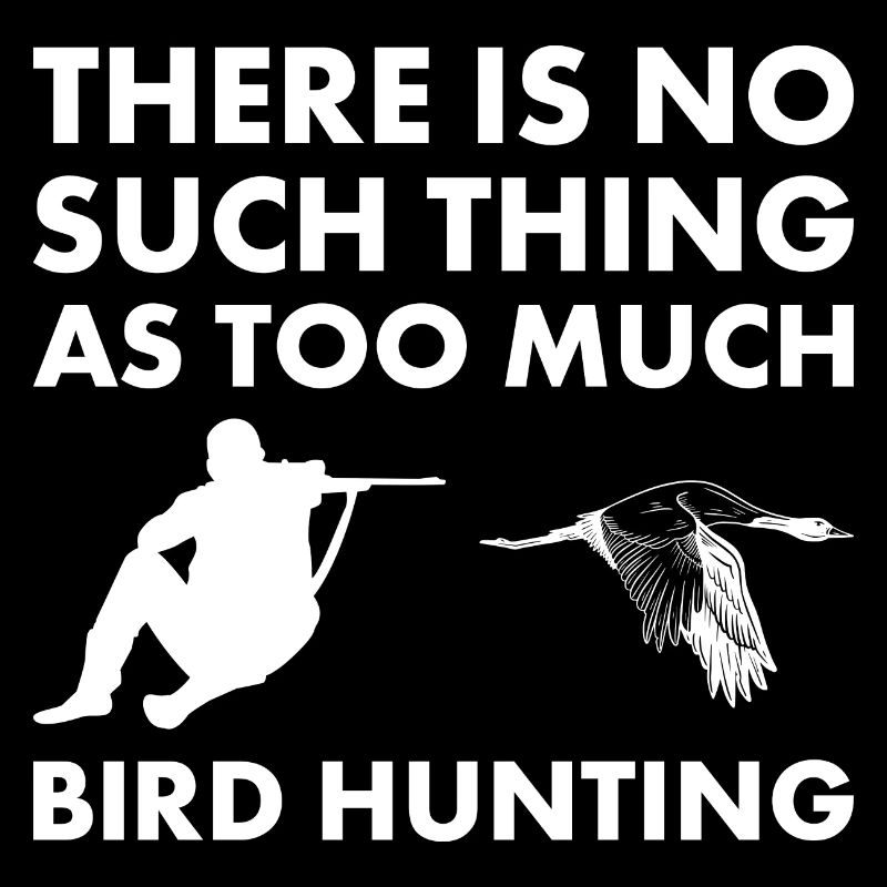 Il n’y a pas trop de chasse aux oiseaux