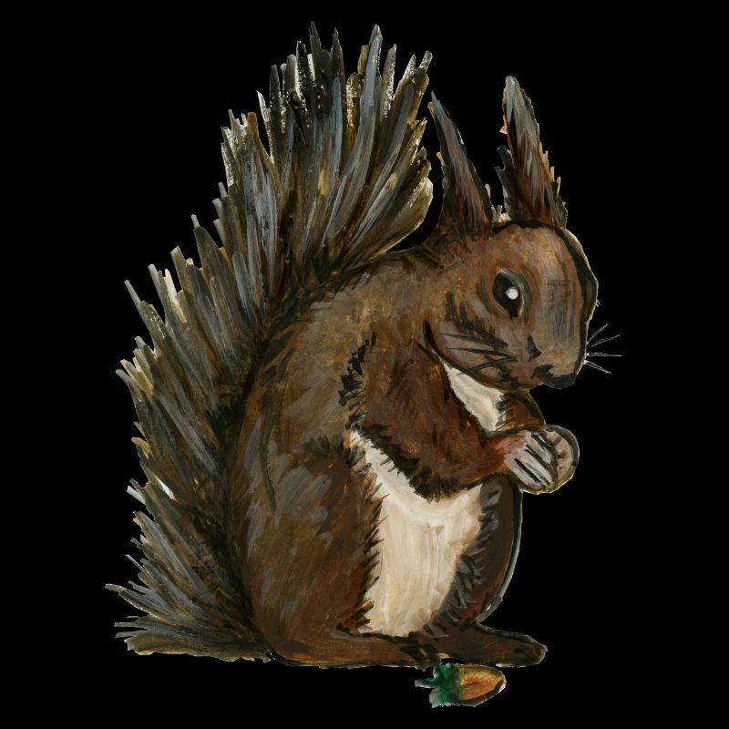 Eichhörnchen Eichhörnchen eichhörnchen esquilo Haselnuss