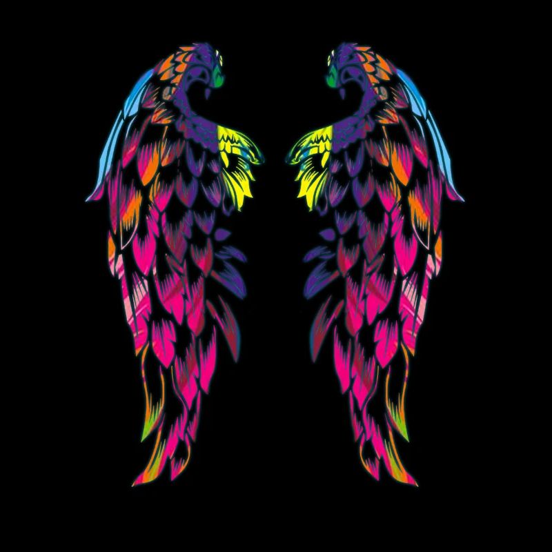 des ailes couleur