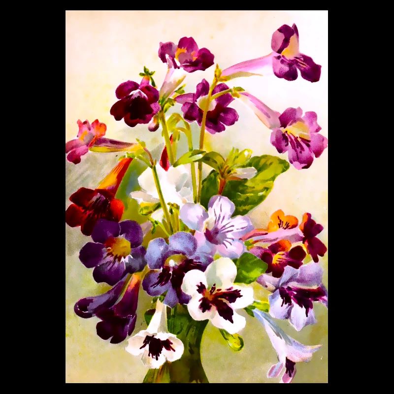 Violets