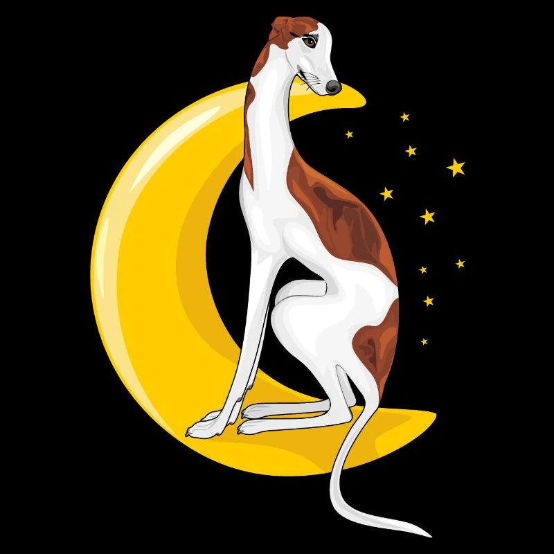 Greyhound resting on the moon