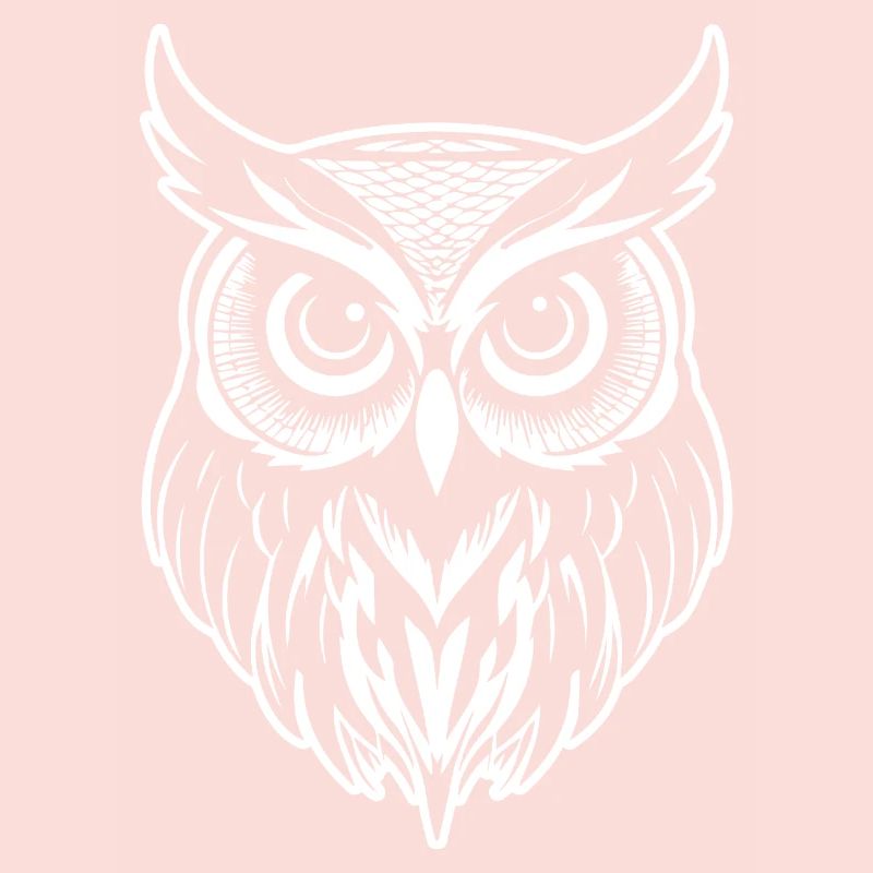 Eule Eulen Vogel Vögel