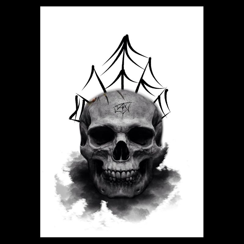 Crâne d’araignée morte