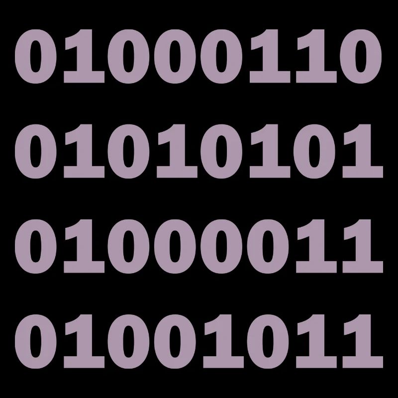 Binary Code Fuck