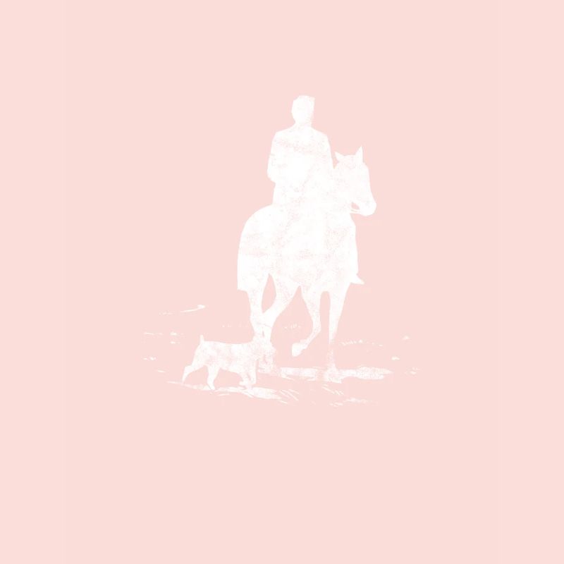 Hunde Pferd