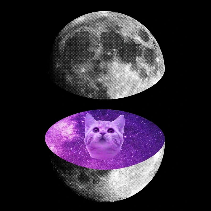Galaxy Moon Cat