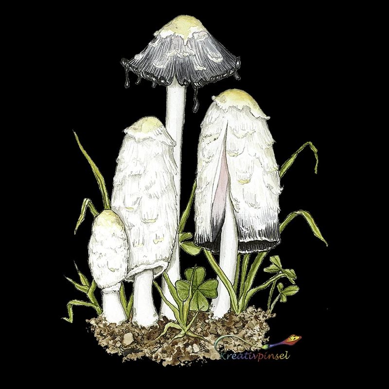 Crested Inklings, champignon de l’année 2024