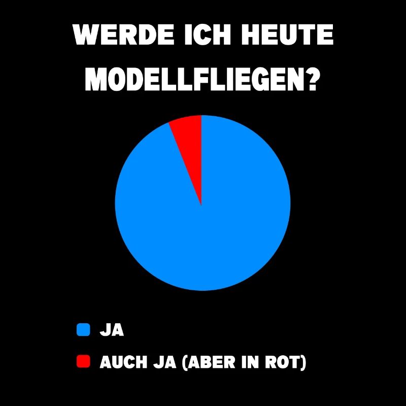 Modellflug Pilot Modellbau Flugzeug Modellbauer