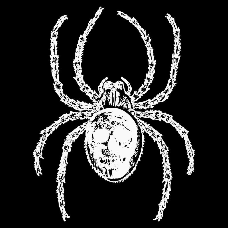 Crâne araignée en blanc