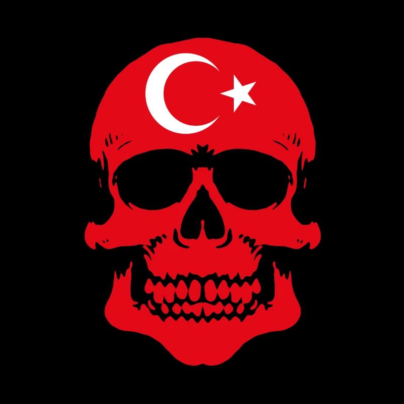 Turkey Skull