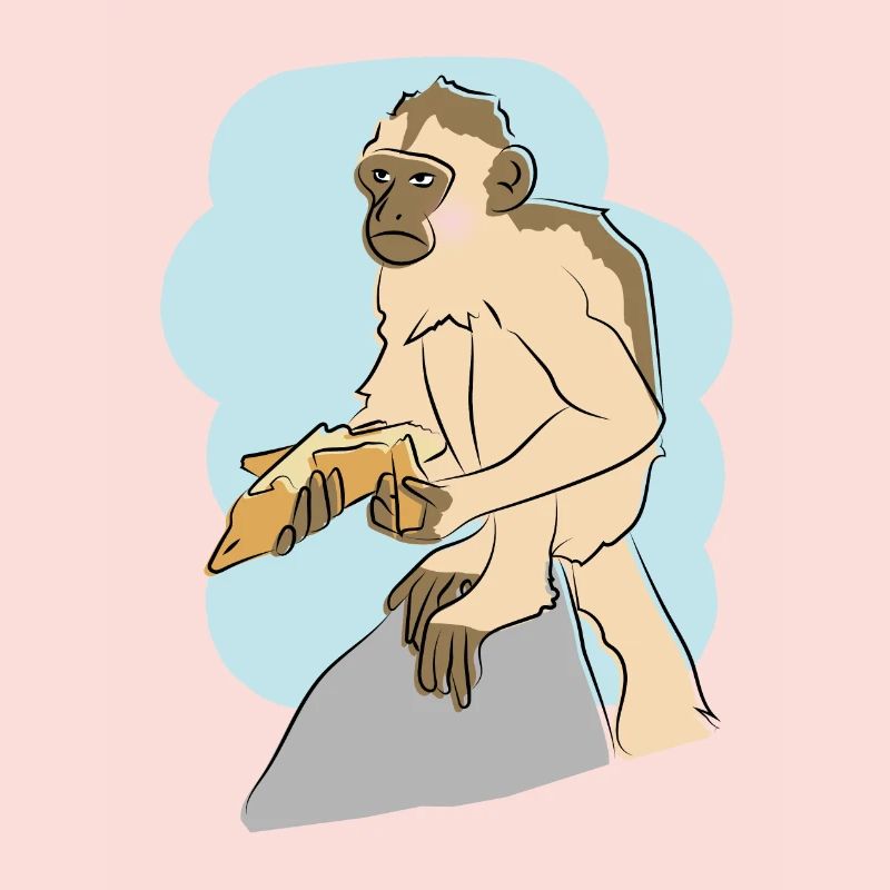 Illustrated design with monkey