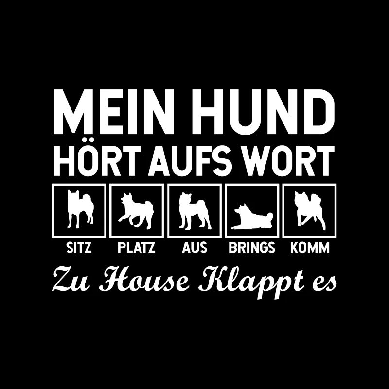 Hund Hunderasse Gehorchen Erziehung Sitz Platz Aus