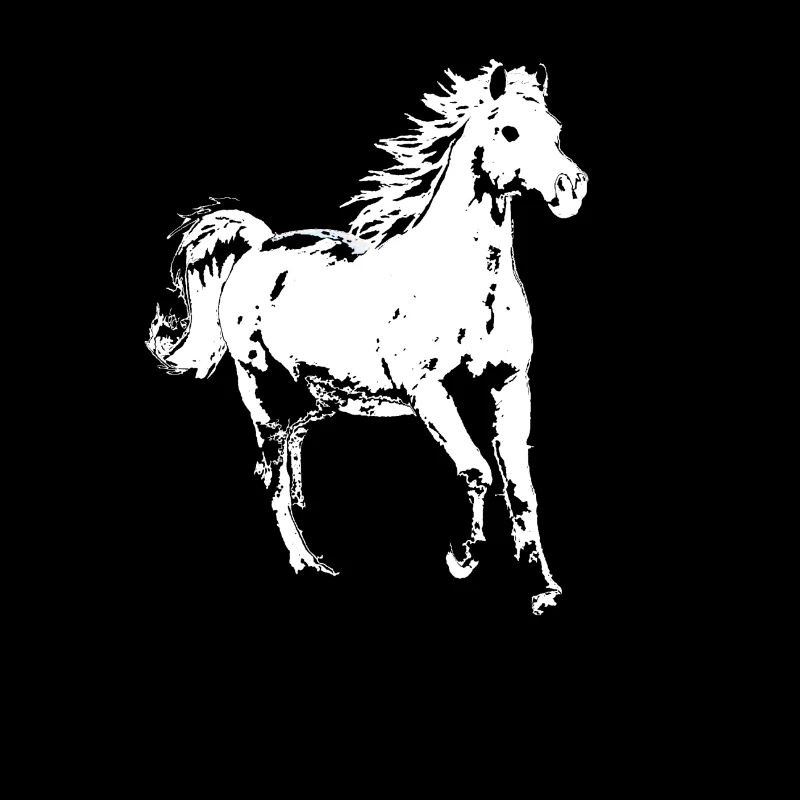 weisses Pferd