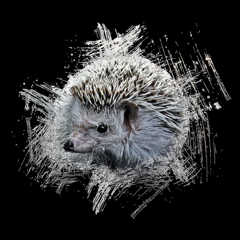 Hedgehog