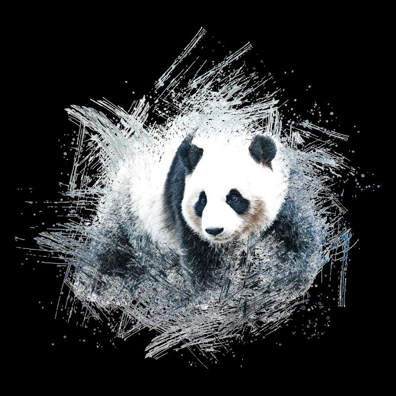 Panda bear