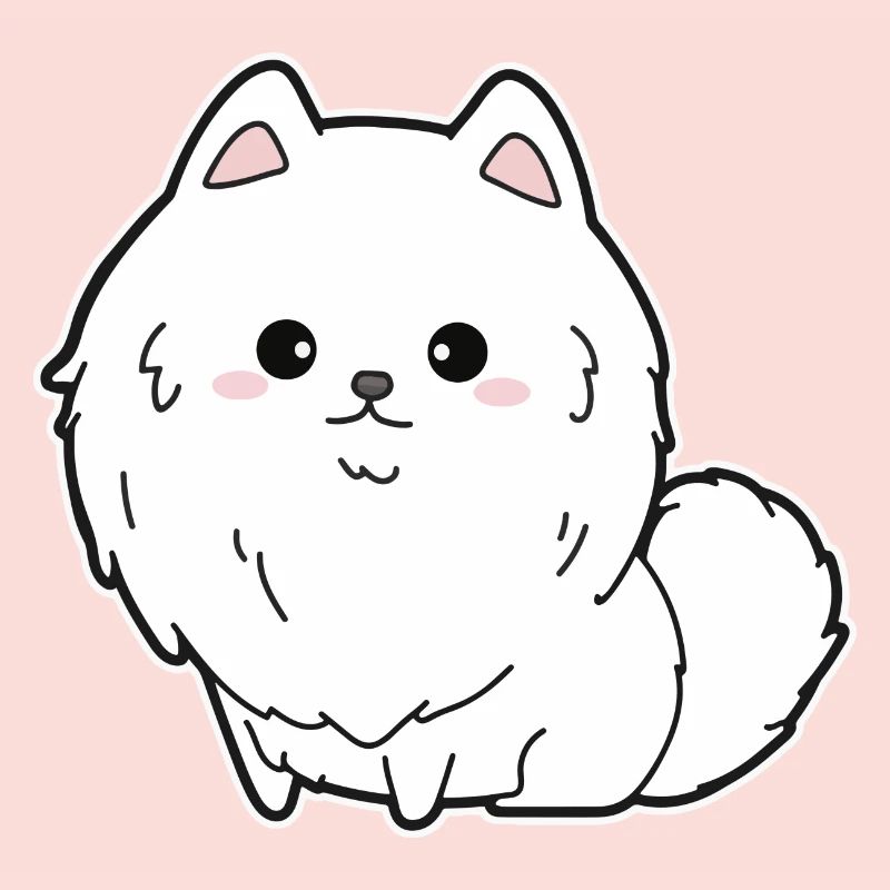 Dwarf spitz