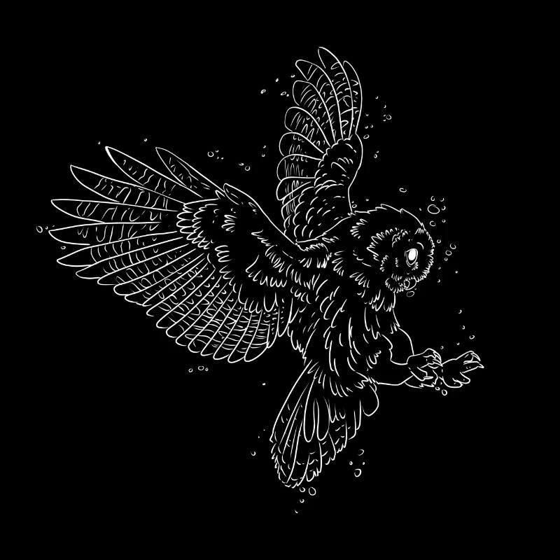 hibou